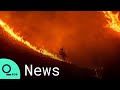 Cyprus Faces Its 'Most Destructive' Forest Fire Ever