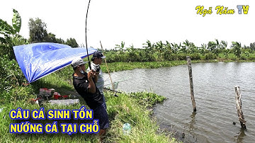 Câu Cá Sinh Tồn Bất Ngờ Dính Cá Tra Đầy Kịch Tính - Bắt Cá Tra Nướng Trui Ăn Trừ Cơm/NGÃ NĂM TV