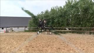 Stald Bm Sports Horses