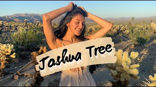 Joshua Tree National Park // VLOG by On Our Way 1,292 views 3 years ago 12 minutes, 25 seconds