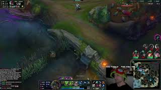 A BAT INVADED MY HOUSE 💀 Gragas ADC? Itll work, trust!