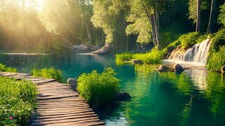Soothing Music Along Beautiful Relaxing Nature Video, Healing Music, Stop Anxiety