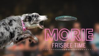 Morie | Frisbee | Autumn 2018 by Morie the Border Collie 1,261 views 5 years ago 1 minute, 58 seconds