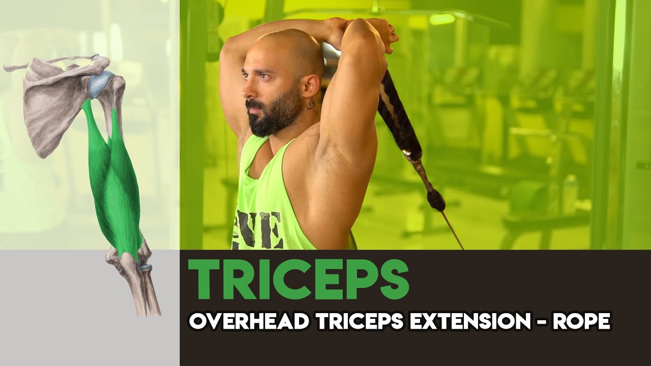 Overhead Triceps Extension Rope Atc - YouTube