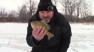 Ice fishing crappie and the musky that got away