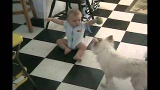 Amazing Dogs and Babies!.Does this Dog Say I Love You I Love You haha No music Edition.avi