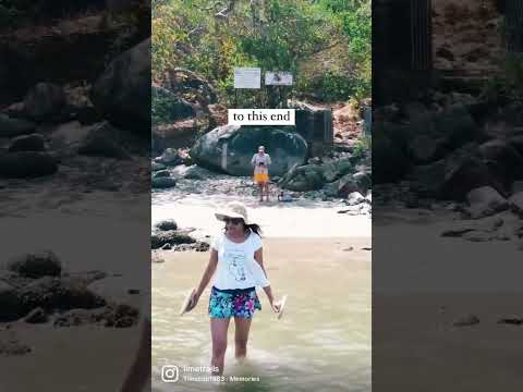 Video: Palolem Beach Goa: Ghid de călătorie esențial