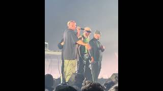 Chillwagon Gra Na X-Leciu Żabsona