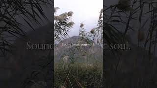 Sound heals your soul. | Chakra Healing Meditation #Shorts