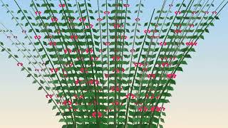 Shrubs Landscape abstract abundant shrub 4k Visual Loop | Python + Taichi CUDA | 60 FPS