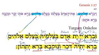 Genesis 1:27 TO