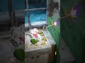 Top Puzzle Games Matchington Mansion matchingtonmansion 