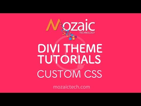 How to edit the custom CSS field in the Divi Theme Options