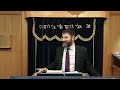 Timeless Torah_Noach 5786