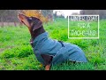 How to sew a winterrain coat for a dachshund