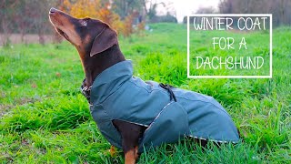 How to sew a winter/rain coat for a dachshund