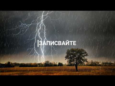 Видео: Подходящи ли са сълзите на тигър за средно училище?