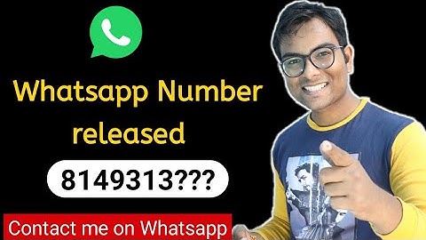 My WhatasApp Number Released for App Development query.