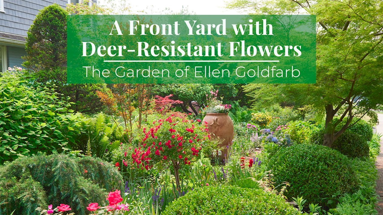 🦌Talk & Tour: Front Yard Garden with Deer-Resistant Plants | Designer Tips + Landscaping Plant List