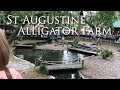 St Augustine Alligator Farm Zoological Park (Feeding)