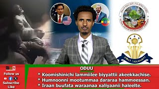 GMN: Oduu Bitooteesa 12/2026.
