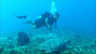 Cozumel2017Daydiving