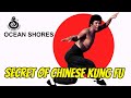 Wu Tang Collection - Secret of  Chinese Kung Fu