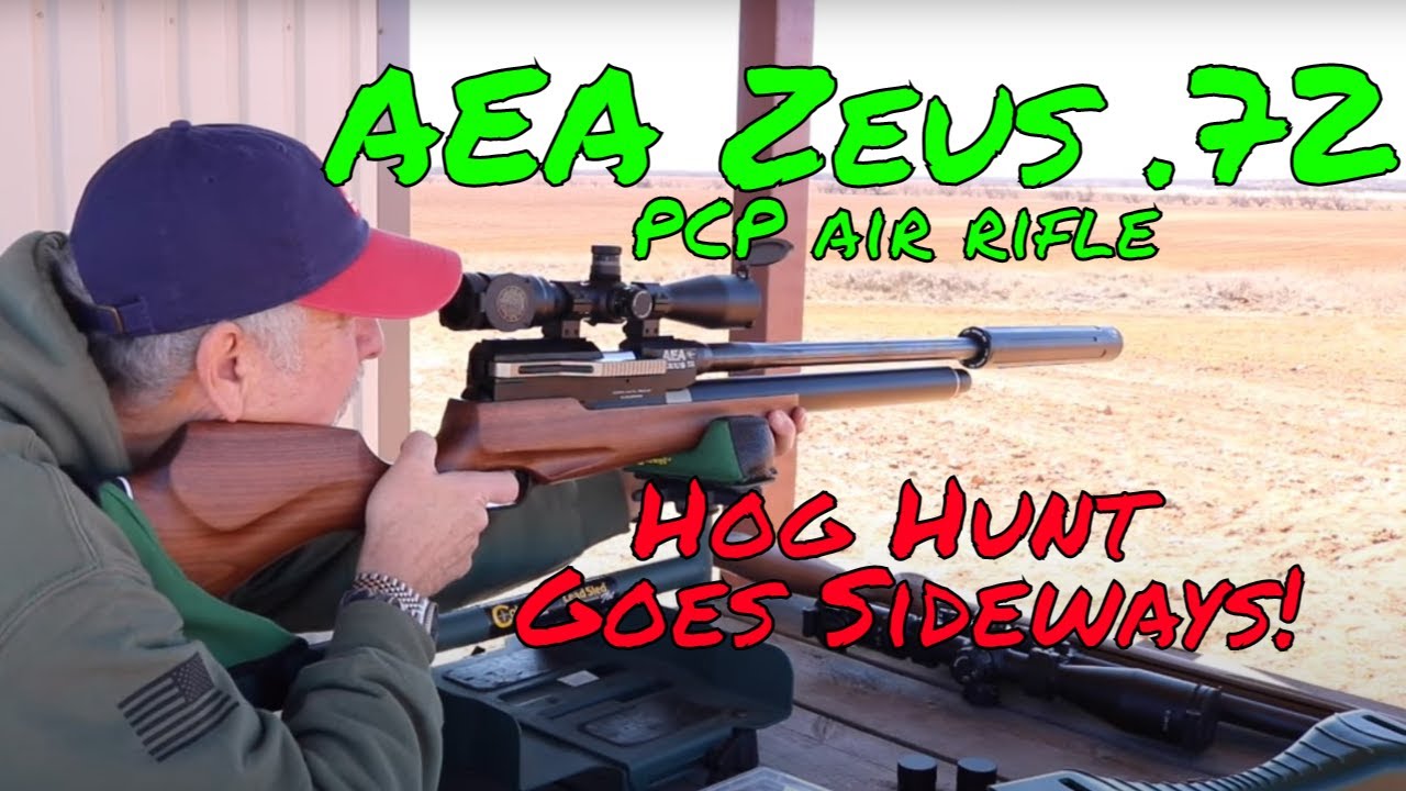 The Most Powerful Air Rifle in My Collection .72 Caliber Zeus YouTube