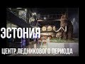 ✅#2 Центр ледникового периода, ЭСТОНИЯ НА ВЫХОДНЫЕ c Владимиром Волошиным