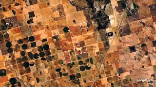 880± Acres Dryland Farm Investment | Dawson County, TX