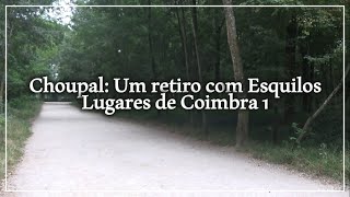 Mata do Choupal | Lugares de Coimbra, Portugal