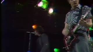 The Saints (&#39;73 -&#39;78) - Orstralia (live)