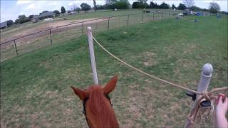 Conquering the Rope Gate!