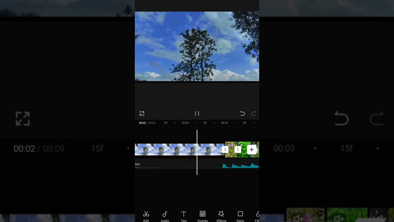 EDIT FOR CLIENT