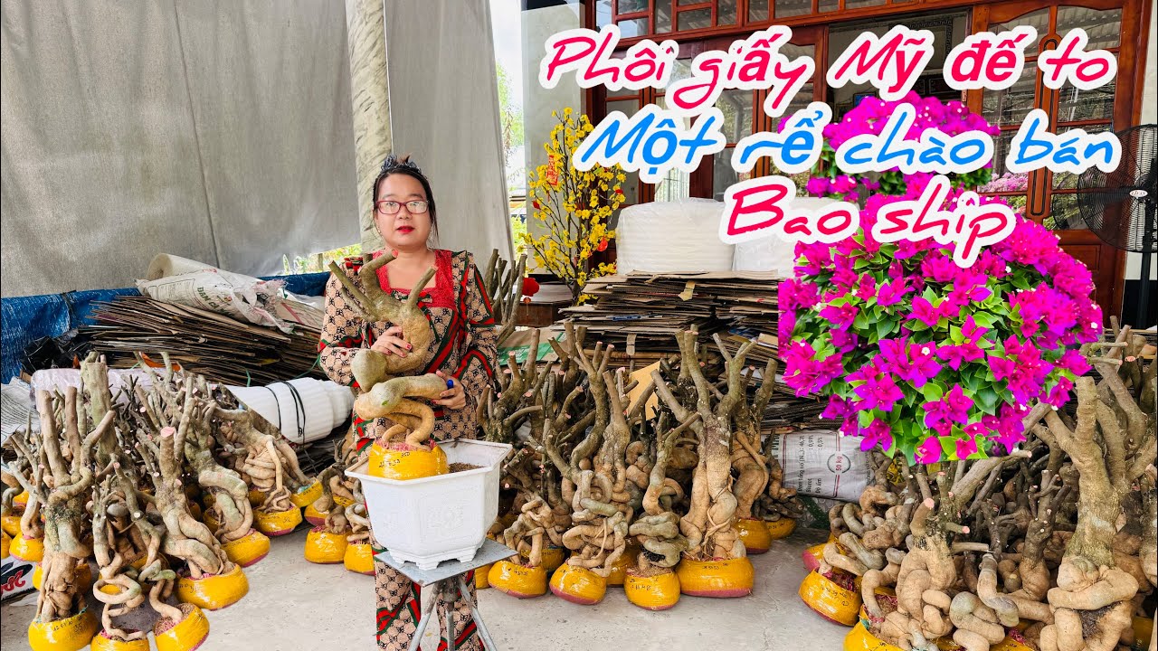 Phôi giấy Mỹ đế to đặc,một rể già chào bán bao ship..07/03😘📲 0772.119.600.Quỳnh-Như 