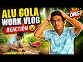 🌱 Today’s Hard Work in the Potato Field | Alu Gola Vlog
