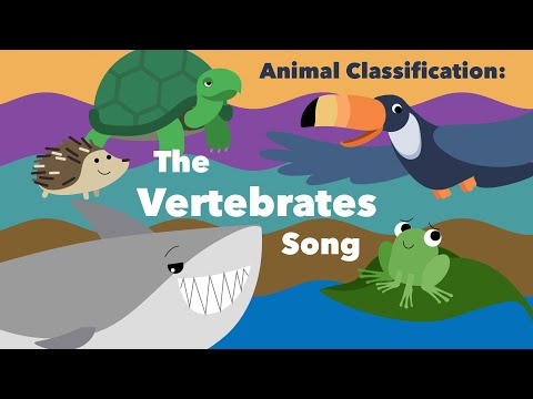Vídeo: Animals vertebrats: signes, trets, signes