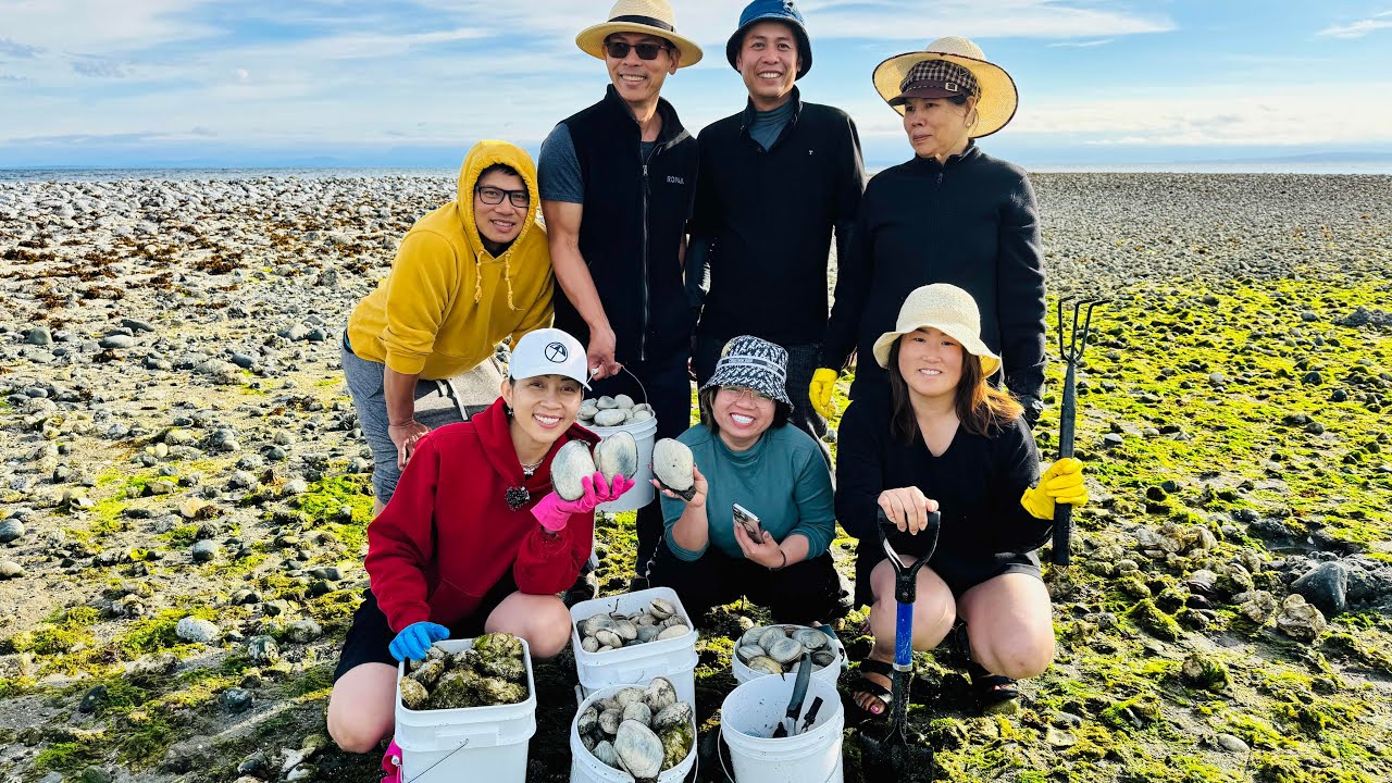 Dậy Từ 4h Sáng Đi Cào Nghêu Bắt Hào | Săn Sò Ú Nụ Giữa Biển Trời Nanaimo BC 🇨🇦2106》 Cuộc Sống Canada
