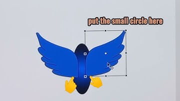 Creating Animated Wings using Adobe Flash CS3