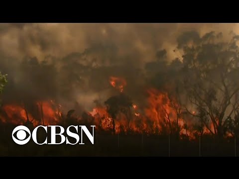 Rain and cooler temperatures bring some relief from Australia fires