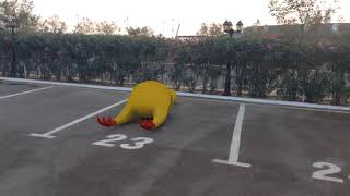 Galinha De Borracha Gigante