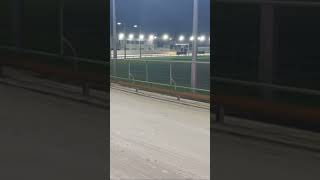👀 A behind the scenes look at the finish-on lure 🥰 #greyhound #greyhoundrace #greyhoundracing