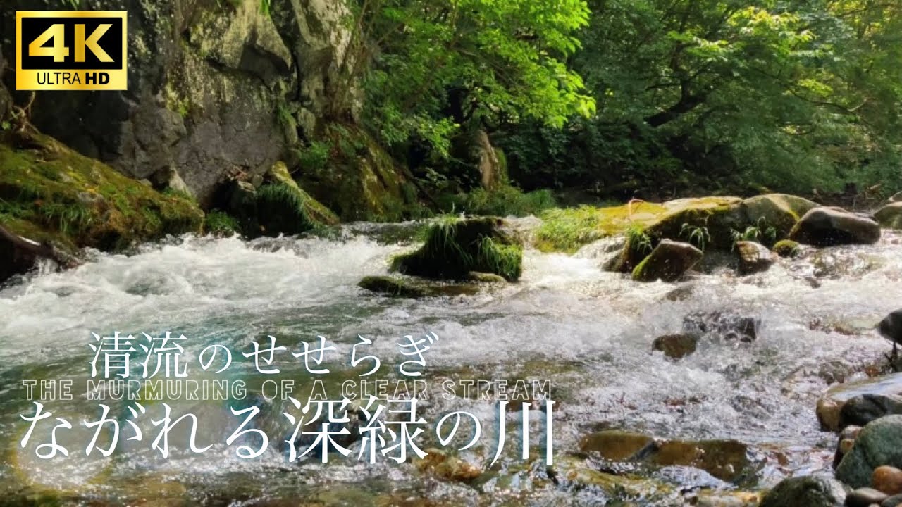 【4K映像・自然環境音】~清流のせせらぎ、ながれる深緑の川~The murmuring of a clear stream~/リラックス効果 ...