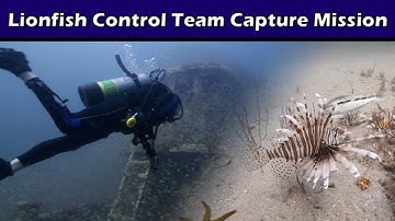 Controlling Invasive Lionfish with Appetite