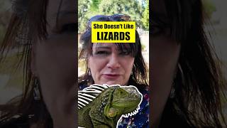 Wife vs Lizard - Don’t Think She Likes Them!