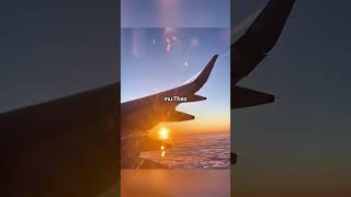 Đồ ăn máy bay ngon là giả? sự thật khiến bạn bất ngờ ✈️🍱