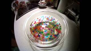 time lapse　コマ撮り　：　ツブツブ　pebbly