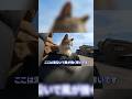 野良猫が膝の上に乗ってきた結果…#shorts