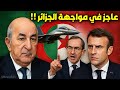 عاجز في مواجهة الجزائر ريتايو يتحدى ماكرون Dz عاجز في مواجهة الجزائر ريتايو يتحدى ماكرون Dz