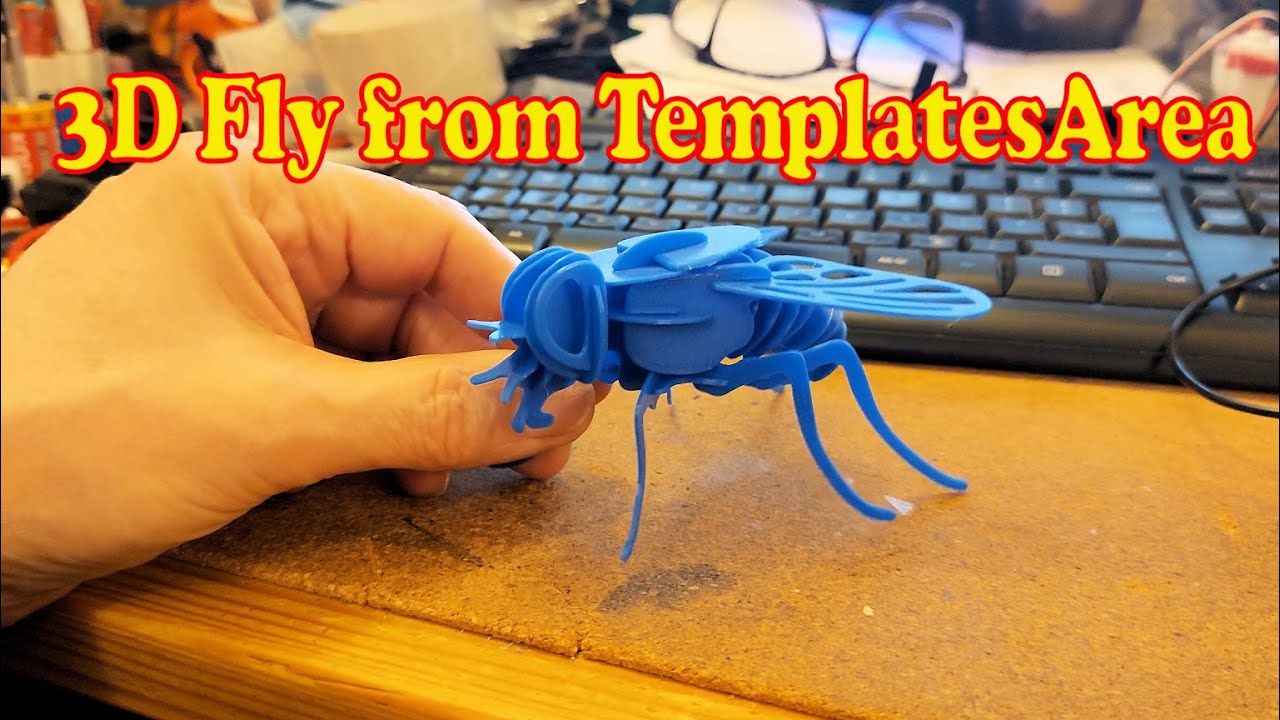 3d Fly from TemplatesArea - YouTube